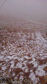 بالفيديو والصور .. تساقُط ثلوج خفيفة على المناطق الجبلية العالية في الطفيلة ومعان