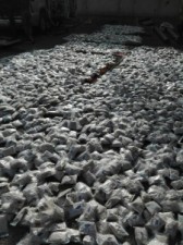 بالفيديو الصور ... بجهود استخباراتية وعملياتية.. الأمن يحبط تهريب ستة ملايين و200 الف حبة مخدرة