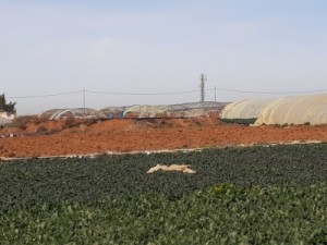 بالصور...وزارة المياه تضبط اعتداءات ضخمة فيو المفرق و اللبن جنوب عمان