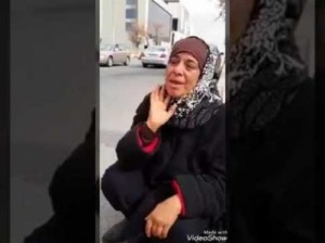 امين عمان "الشواربة" : كرامة ام رامز من كرامة كل ام اردنية