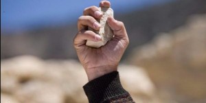 20 عاما لمتهمين قتلا شابا بالحجارة واخرجا دماغه من الجمجمة