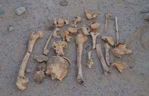 العثور على عظام بشرية قديمة اسفل محل تجاري في عمان