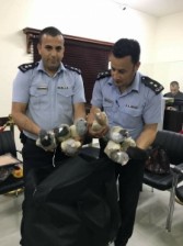 بالصور...ضبط مسافر حاول تهريب " حمام" من الأردن إلى فلسطين عبر معبر الكرامة