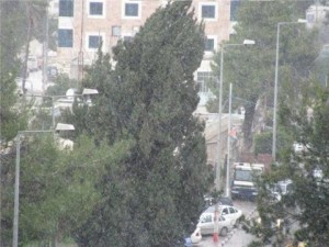 عودة الأجواء الماطرة للأردن الخميس .. وتحذيرات من تشكل السيول في الجنوب