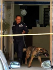 القبض على منفذ سطو بنك خلدا في مطار الملكة علياء