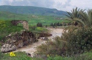 نواب يطالبون بجلسة مناقشة عامة حول السيادة الأردنية على أراضي الباقورة والغمر