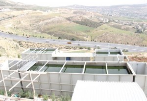 جامعة عمان العربية .. صديقه للبيئة