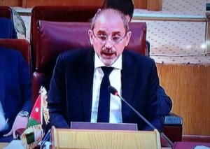 الصفدي: لا سلام ولا أمن دون حل القضية الفلسطينية