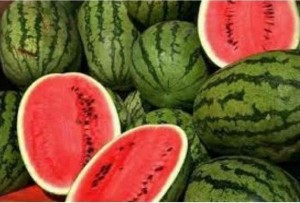 قطر تؤكد: البطيخ الأردني مطابق للمواصفات