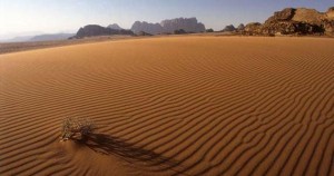 طقس الاثنين: درجات الحرارة الى الانخفاض قليلا