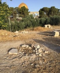 جهود أردنية تثمر عن سحب نقطة حراسة للاحتلال على تلة باب الرحمة