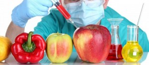 مطالبات بمنع ادخال المواد المعدلة وراثياً للمملكة