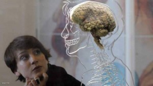 أدمغة الرجال والنساء .. ما الفارق؟