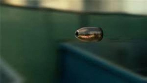 مقتل أربعيني باطلاق نار من قبل مجهول في عمان