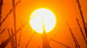 الأجواء صيفية اعتيادية في اغلب المناطق