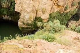 إخلاء جوي لشاب سقط في وادي بمنطقة برتا في مدينة ذيبان