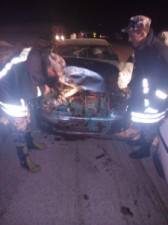 بالصور .. اصابتان ونفوق 15 رأسا من الماشية بحادث على "الصحراوي"