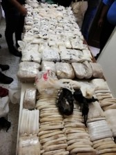 القبض على تاجر مخدرات في البادية الشمالية بحوزته 248 كف حشيش