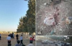 خلال ٢٤ ساعة ...كشف ملابسات مقتل احد المواطنين في الكرك