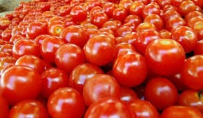 حماية المستهلك تدعو الى مقاطعة البندورة لارتفاع اسعارها