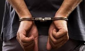 محافظ اربد يقرر توقيف معتدين على مركبات