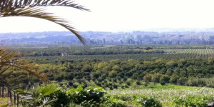 السبت: انخفاض على الحرارة .. واجواء رطبة ليلاً