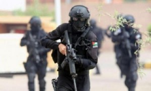 مداهمة مزرعة بجنوب عمان وضبط دخان وحليب منتهي الصلاحية