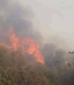 حريق كبير في احراش جرش (صور)