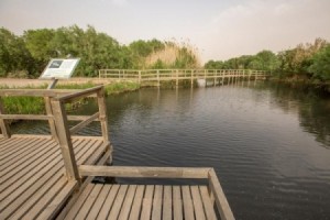 2200 فرصة عمل للاردنيين والسوريين