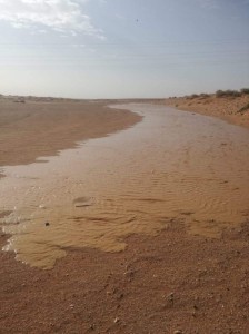 بالصور...المومني : يؤكد على تحذيرات دائرة الأرصاد خلال المنخفض الجوي