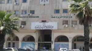 مليون و500 ألف دينار كلفة ورشة عمل ودورتين في وزارة الزراعة