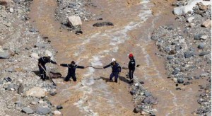 نقابة المعلمين تستنكر تصريحات الحكومة المتضاربة حول فاجعة البحر الميت