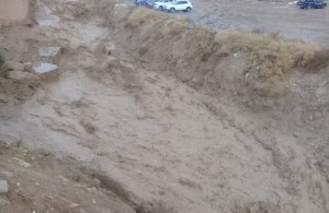 سيول جارفة في البتراء .. والفرجات: لم نشهدها منذ 60 عاما