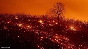 "الخارجية" :الجالية الأردنية بخير اثر موجة الحرائق التي تجتاج ولاية كاليفورنيا
