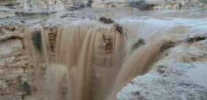 تكفيل جميع موقوفي قضية البحر الميت والافراج عنهم