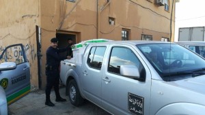 بالصور..وزارة الزراعة تضبط ٤٧٠٠ عبوة مبيدات وبذور مزورة معدة للبيع في السوق المحلي