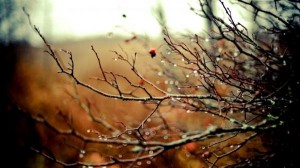 الاثنين .. اجواء باردة وفرصة لهطول زخات من المطر