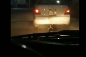 الامن العام يباشر التحقيق بالفيديو الذي اغضب الاردنيين