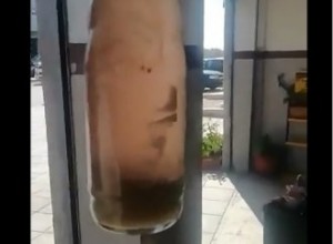 الحكومة توضح عبر منصة "حقك تعرف" صحة فيديو متداول يظهر خلط البنزين بالماء