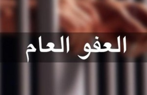 العجارمة : قانون العفو العام يشمل كل مقيم على أراضي الدولة الأردنيّة