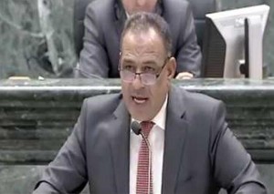 الطراونة: العفو العام يشمل القضايا المنظورة أمام المحاكم