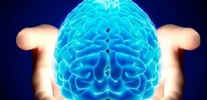 الكشف عن طريقة سهلة لتجديد شباب الدّماغ .. إليكم السّر!