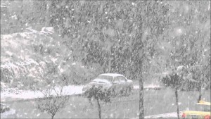 الشاكر ينفي توقعات تعرض المملكة لمنخفض قطبي يحمل عواصف ثلجية