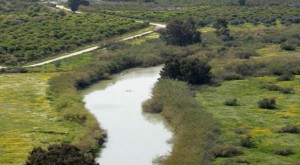 مصدر حكومي: لن نقبل مساومة "ناقل البحرين" بأراضي الباقورة والغمر