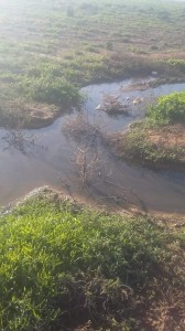 كارثة بيئية تهدد حياة المواطنين في الزعتري