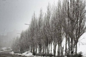 تعرف على أسماء المناطق التي ستتأثر بتساقط الثلوج هذه الليلة