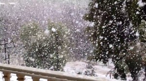 ماذا استجد على المنخفض القطبي الأربعاء؟