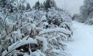 السفارة الاردنية في واشنطن تحذر الأردنيين من المنخفض الجوي الذي يضرب ولايات الغرب الأوسط الامريكي