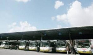 ترجيح تشغيل 100 حافلة عمومية بعمان الشهر المقبل