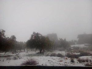 بالصور ... ثلوج الجنوب هذا الصباح